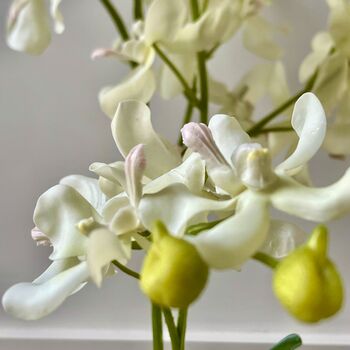 Artificial White Orchid In Glass Vase, 3 of 5