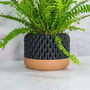 Carbon Ananas Planter, thumbnail 3 of 4