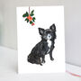 Black Chihuahua Christmas Card, thumbnail 1 of 6