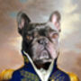 Renaissance Pet Portrait The General, thumbnail 8 of 9