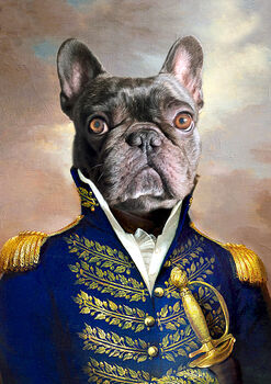 Renaissance Pet Portrait The General, 8 of 9