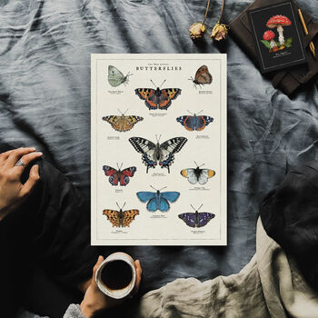 British Butterfly Art Poster, 7 of 10