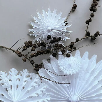 Fold Large Paper Snowflake Decoration, 2 of 6