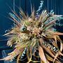 Dried Flower Bouquet With Preserved Eucalyptus, thumbnail 2 of 5
