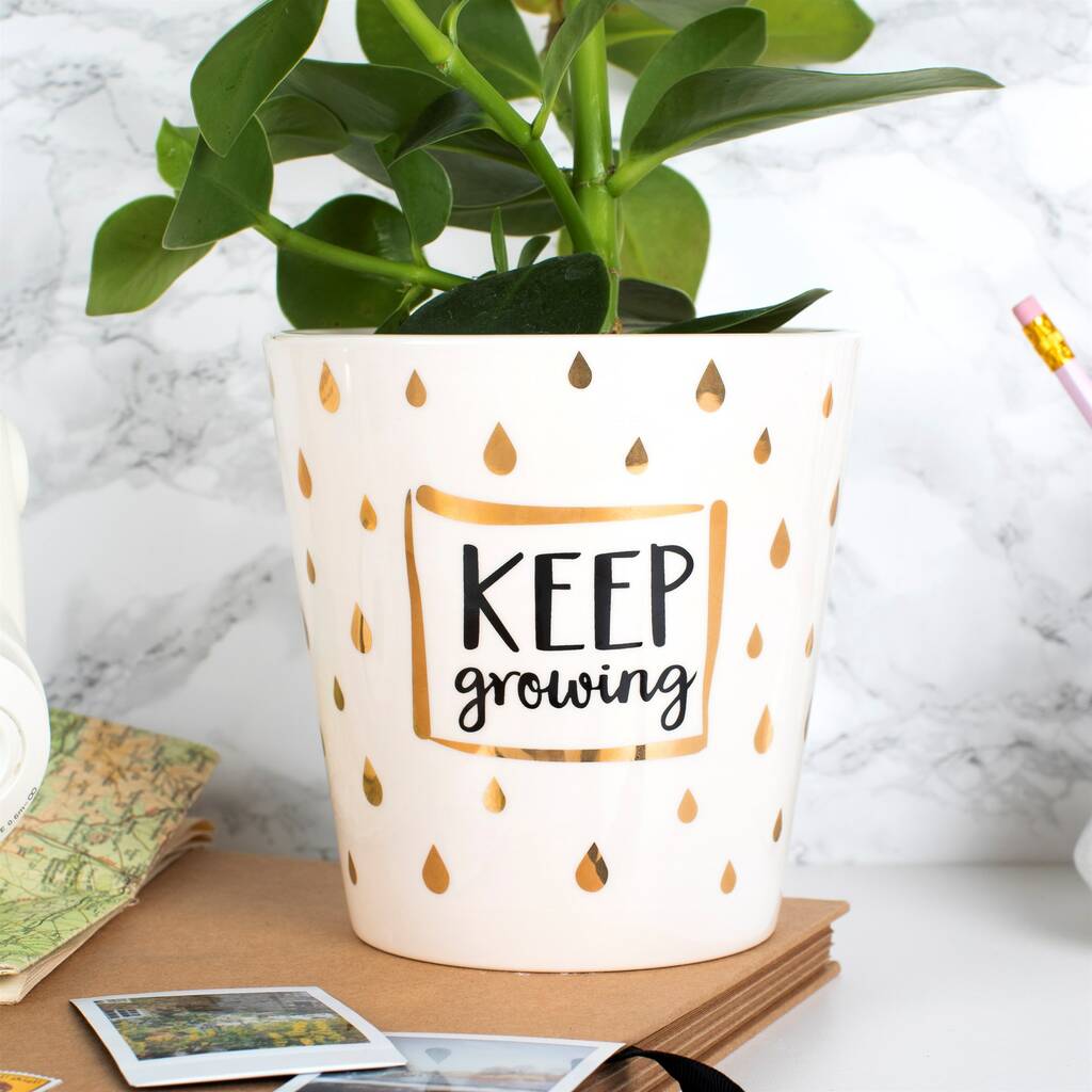 Keep Growing Planter Teacher Gift By The Alphabet Gift Shop ...