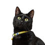 Tom And Tabby Reflective Cat Collars, thumbnail 9 of 10