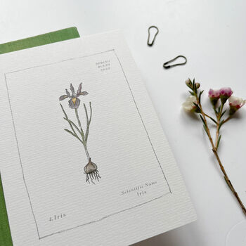 Spring Bulb Botanical Postcard Set, 8 of 10