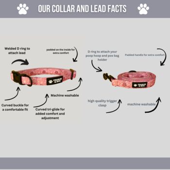 Pink Floral Dog Collar And Lead Set, 3 of 4