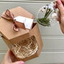 Paper Snowdrop Tiny Terrarium With Gift Tag And Box, thumbnail 10 of 11