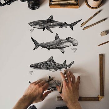 Shark Illustration Print, 4 of 8