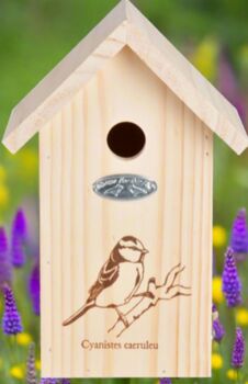 Bird Home For Wrens, 2 of 3