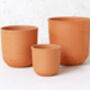 Terracotta Plant Pots Set Of Three U Curved, thumbnail 6 of 6