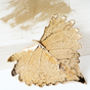Natural Cottonwood Heart Leaf Gold Or Silver Brooch, thumbnail 4 of 12