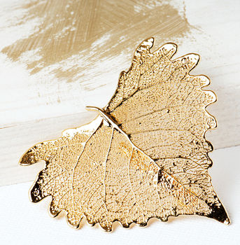 Natural Cottonwood Heart Leaf Gold Or Silver Brooch, 4 of 12