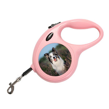 Personalised Photo Dog Lead, 3 of 11