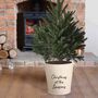 Personalised Ivory Christmas Tree Bucket Planter, thumbnail 1 of 4
