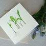 'Lily Of The Valley' Flower Card, thumbnail 5 of 5