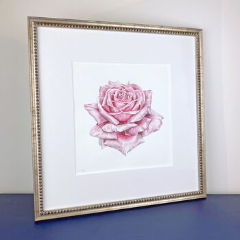 Rose Painting, Rose Art, Watercolour Rose, 'Susan', 2 of 4