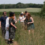 Summer Foraging Walk For One In The South Downs, thumbnail 5 of 12