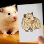 Personalised Full Body Hamster Portrait Print, thumbnail 2 of 9
