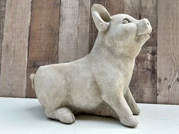 Adorable Pig Plant Pot Stone Indoor Planter Fun Pig Gift, 4 of 10