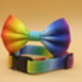 Rainbow Ombré Dog Collar And Lead Accessory Set, thumbnail 10 of 12