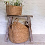 Seagrass Plant Or Storage Baskets With Handles Oval, thumbnail 5 of 6