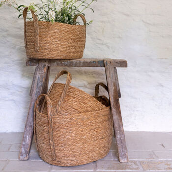 Seagrass Plant Or Storage Baskets With Handles Oval, 5 of 6