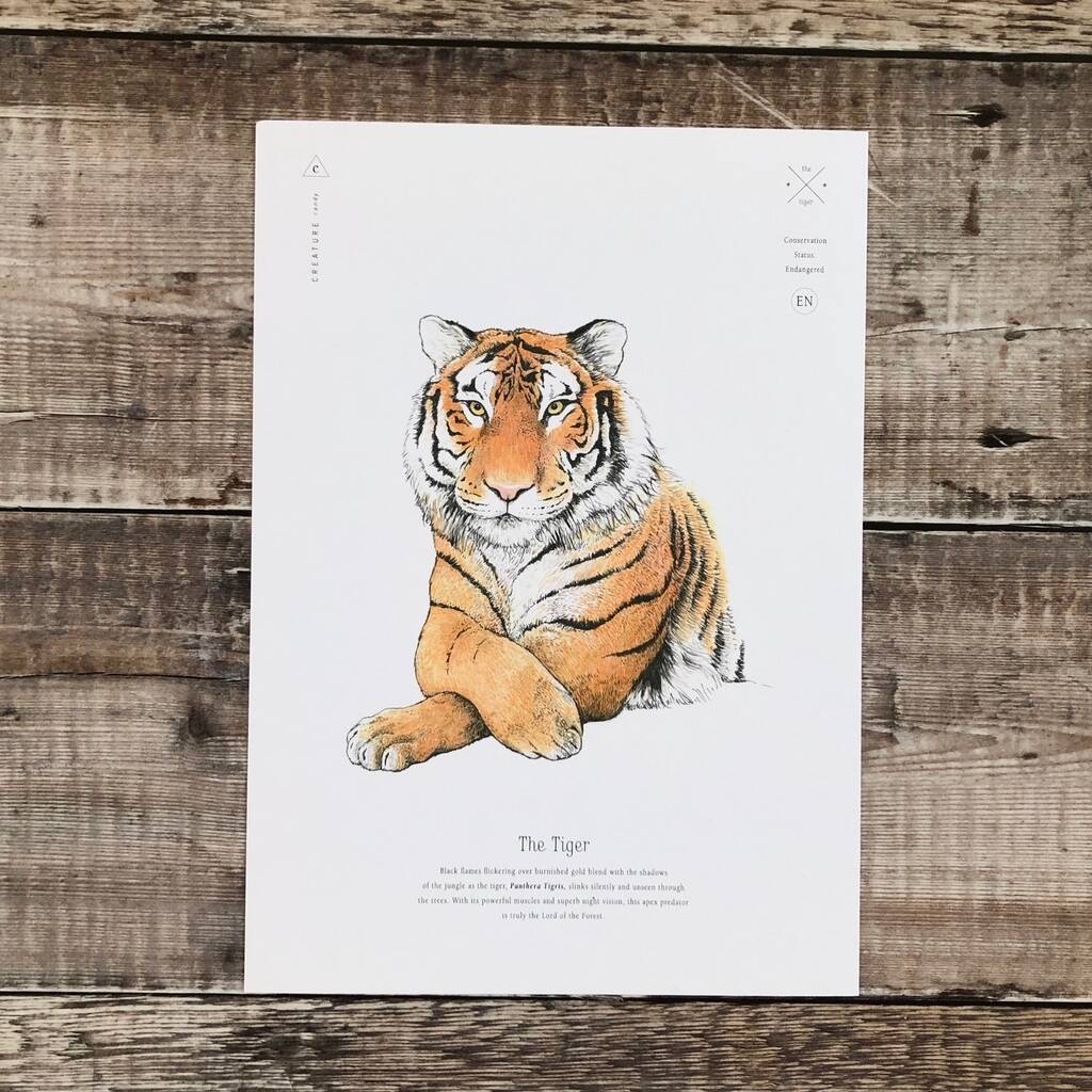 Tiger Print By Creature Candy