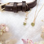 Peridot Owner Necklace And Pet Collar Charm Set, thumbnail 1 of 7