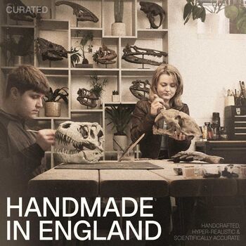 Brachiosaurus 3D Dinosaur Skull Model Replica, 5 of 5