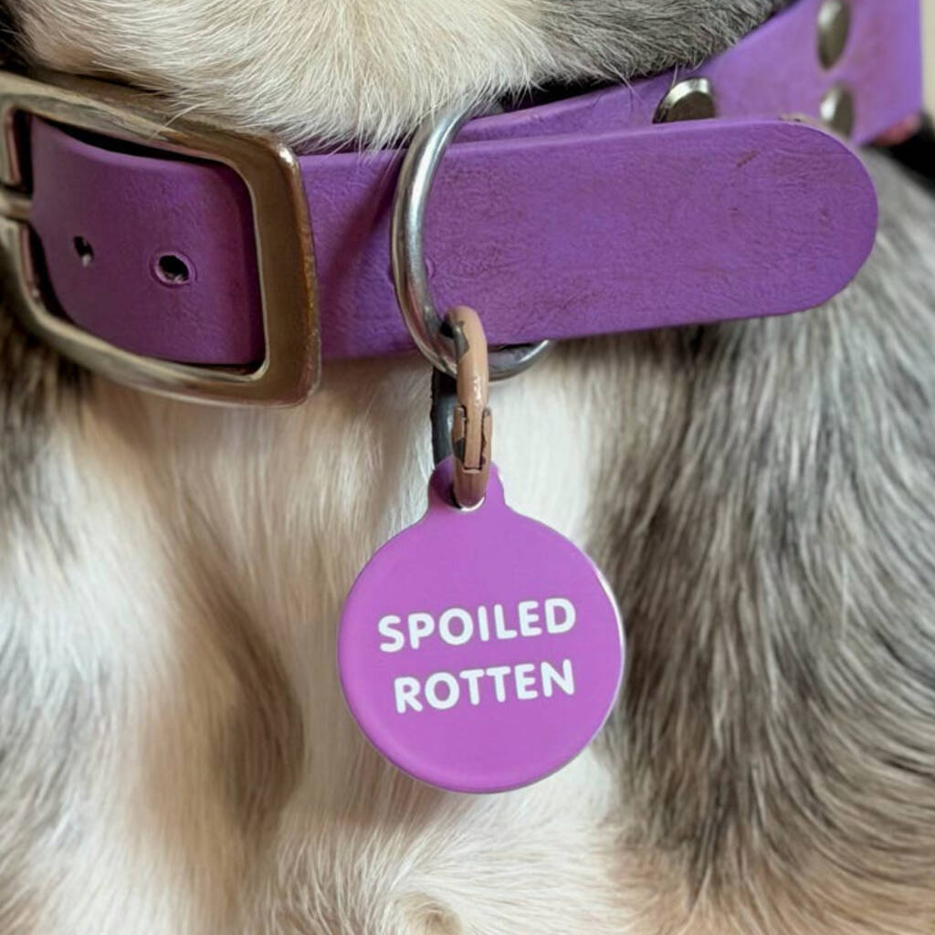 Cheeky Slogans Pet ID Tags, 1 of 10