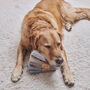 Springer Spaniel Dog Walking Socks, thumbnail 8 of 9