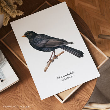 Wall Print Of A Blackbird, 3 of 6