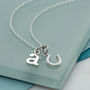 Sterling Silver Lucky Horseshoe Necklace, thumbnail 2 of 8