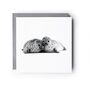 Seal Cubs Hand Drawn Greeting Card, thumbnail 2 of 6