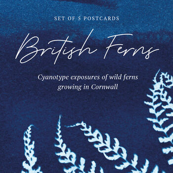 British Ferns Postcard Pack Of Five, 7 of 7
