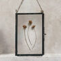Antique Herbarium Frame: Small Natural Hill Flowers, thumbnail 4 of 7