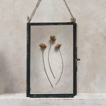 Antique Herbarium Frame: Small Natural Hill Flowers, 4 of 7