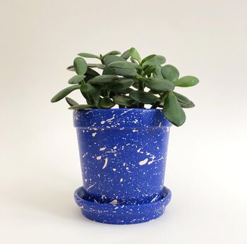 Medium Splatter Ceramic Plant Pot And Dish, 4 of 7