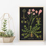Vintage Botanical Print, thumbnail 1 of 4