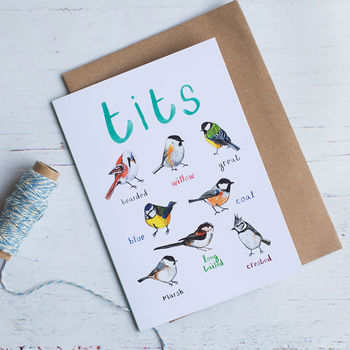 Set Of Five Illustrated Bird Pun Cards By Sarah Edmonds Illustration ...