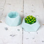 Pastel Jesmonite Planters, thumbnail 3 of 7