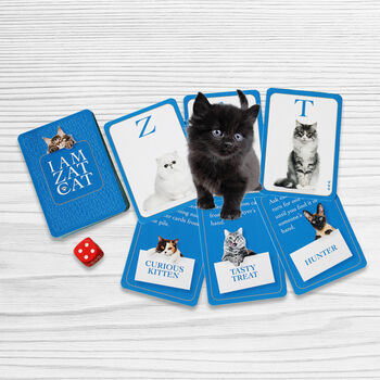 I Am Zat Cat ~ Card Game For Cat Lovers, 5 of 8
