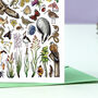 Meadow Wildlife Of Britain Greeting Card, thumbnail 5 of 8