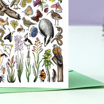 Meadow Wildlife Of Britain Greeting Card, 5 of 8