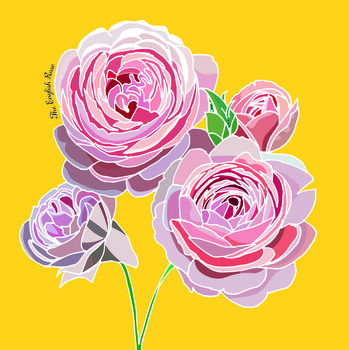 English Rose Print On Yellow, 2 of 6