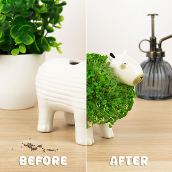 Grow Your Own Capybara Chia Planter, 5 of 5