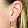 Tiny Turtle Earrings, thumbnail 2 of 4