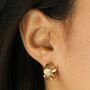 Shell Hoop Earrings In Gold Plating, thumbnail 1 of 3
